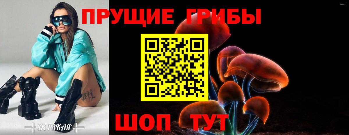 закладки  Псилоцибиновые грибы GOLDEN TEACHER  Новоалтайск  Вход с VPN  Галлюциногенные грибы Magic Shrooms 