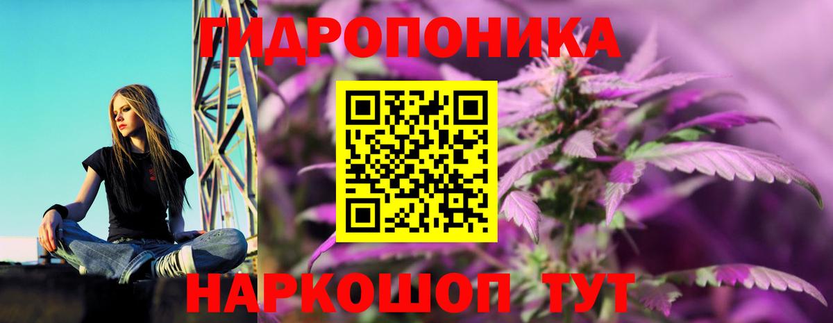 Конопля конопля Новоалтайск